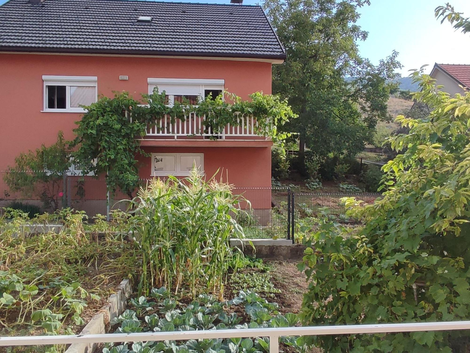 Apartman Bor Livno Exterior foto